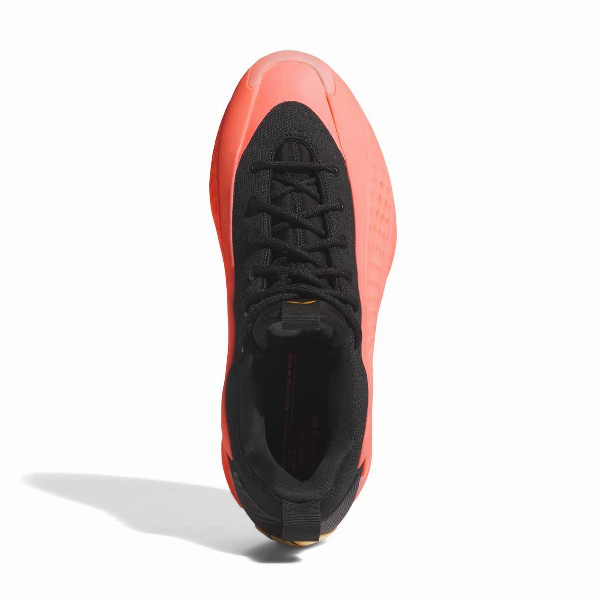 Daily Step-On Glide Comfort Anthony Edwards 1 Low 'Ascent Mural'