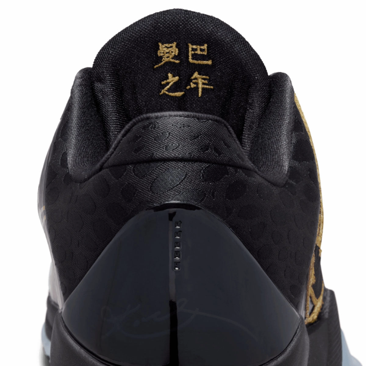 Move With Ease Kobe V Protro 'Year of the Mamba'