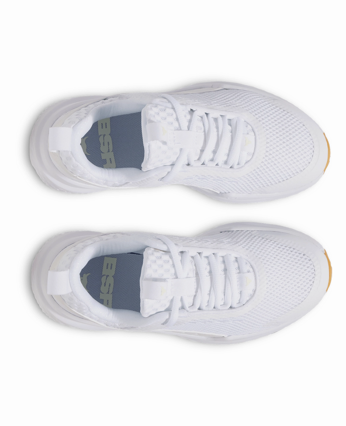 Project Rock BSR 5 Women's Training Shoes Agile Step