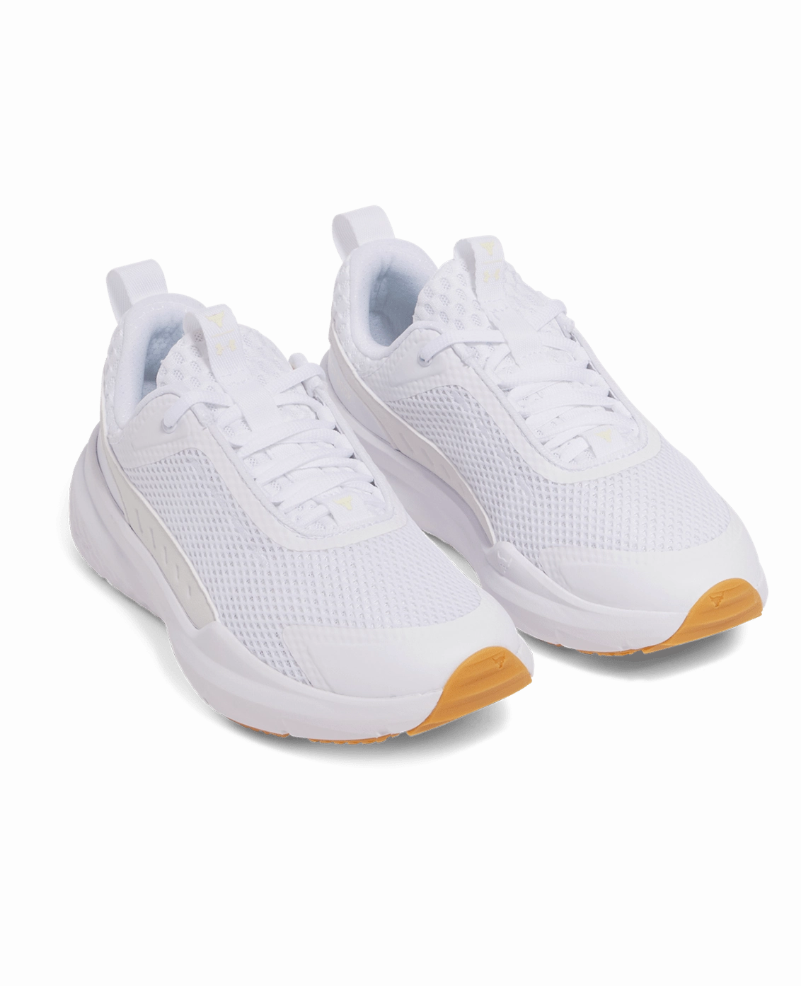 Project Rock BSR 5 Women's Training Shoes Agile Step