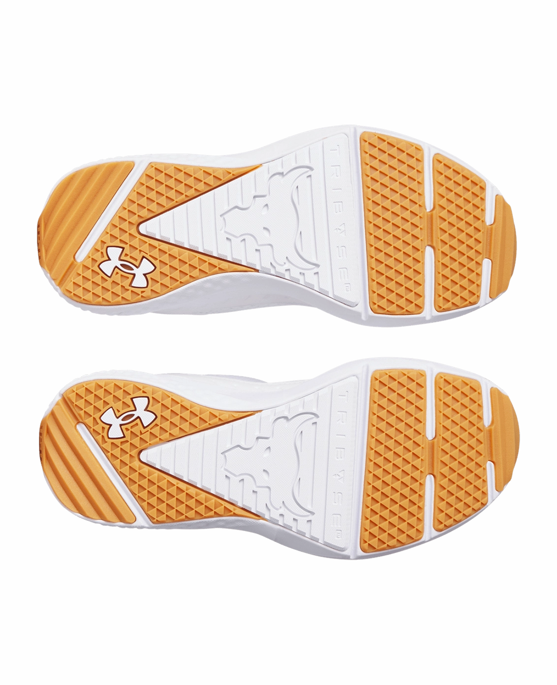 Project Rock BSR 5 Women's Training Shoes Agile Step